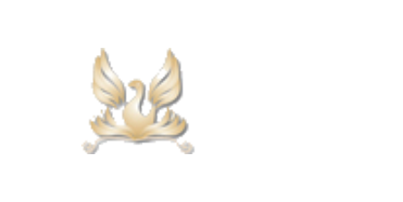 Güneysan Çelik Para Kasaları